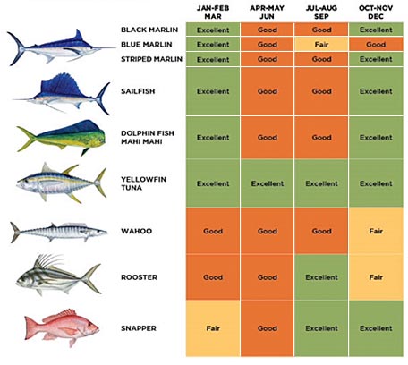 Fishing Seasons and Species 