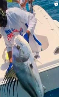 Bob Marlin Sport Fishing Costa Rica World-Class Offshore & Inshore Charters