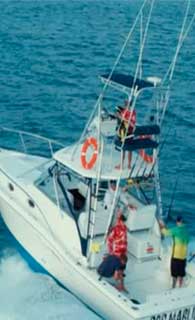 Bob Marlin Sport Fishing Costa Rica World-Class Offshore & Inshore Charters